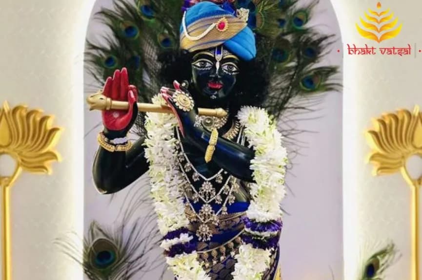 अपने लाला की सुन लो शिकायत जो बताने के काबिल नहीं है (Apne Lala Ki Sun Lo Shikayat Jo Batane Ke Kabil Nahin Hai)