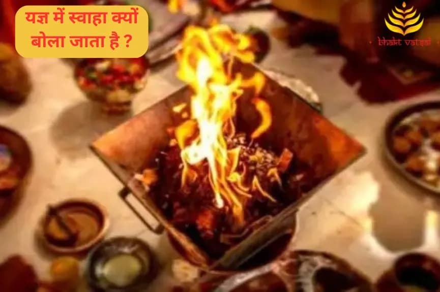 यज्ञ में स्वाहा क्यों बोला जाता है ?