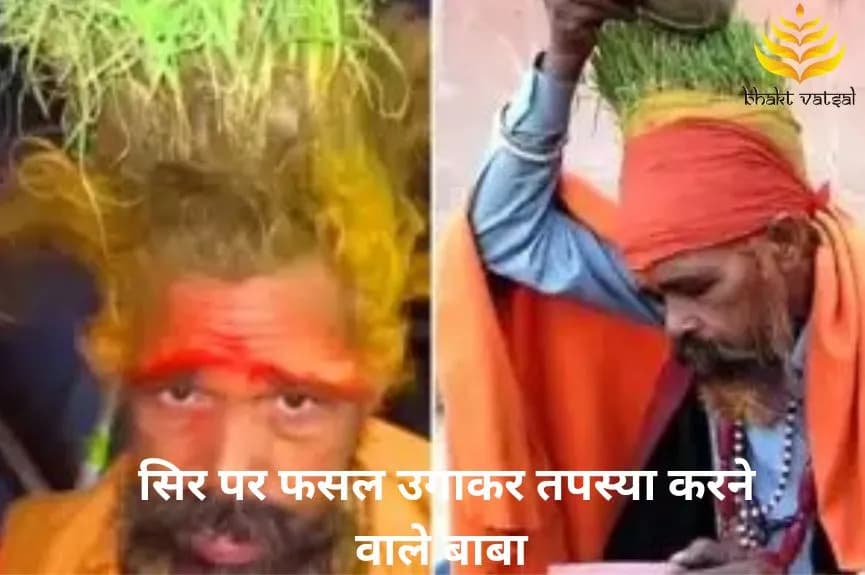 सिर पर फसल उगाकर तपस्या करने वाले बाबा